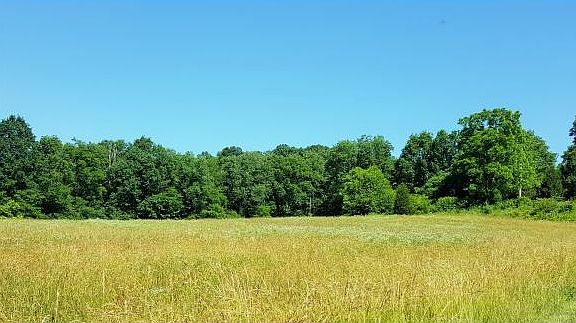 4th image of 605 Bristol Caverns Hwy