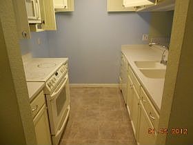 3rd image of 3106 Shelter Creek Ln