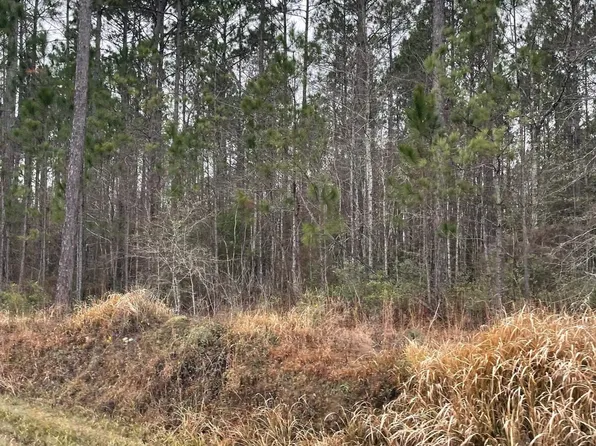 389 Topton Rd, Mc Intosh, AL 36553