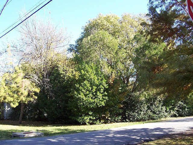 2nd image of 6203 Mimosa Ln