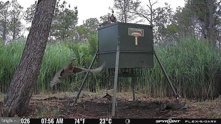 1st image of 3241 Robbins Rd