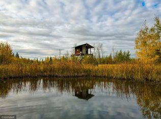 Neumann Rd NE, Kelliher, MN 56650