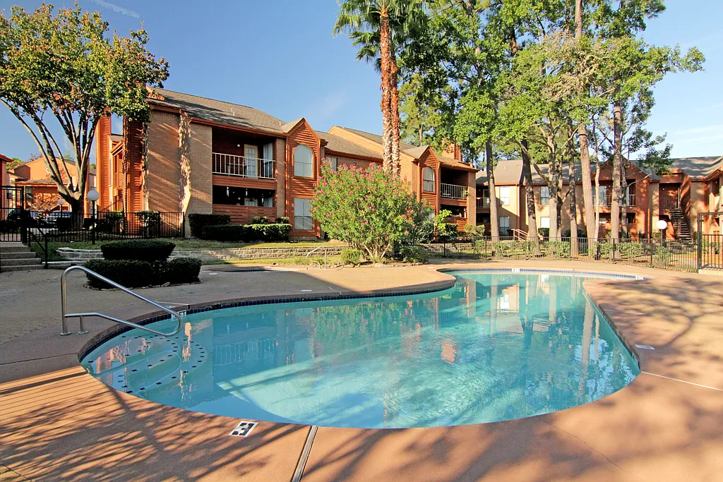 Forest Creek — Photo 2