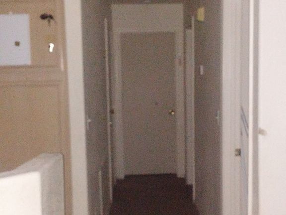 5th image of 50 Belle Springs Ave