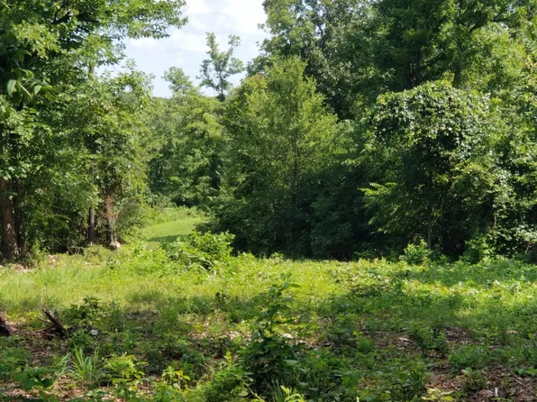 1-A Creekwood Lane, Anderson, MO 64831