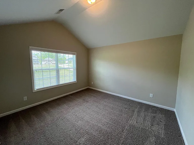 161 Hart Preserve Dr — Photo 13
