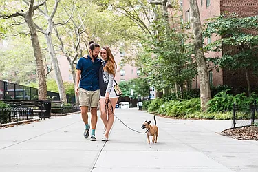 Rented by Beam Living