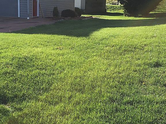4th image of 5509 Sagefield Dr