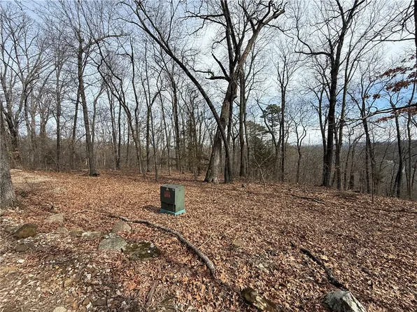 4 Cardinal Ridge Rd Tract 4, Eureka Springs, AR 72632