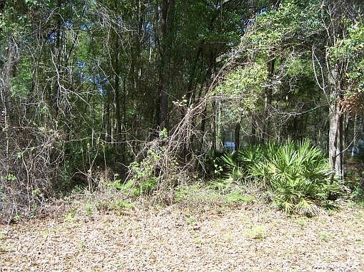 1st image of 24 NE 566th St