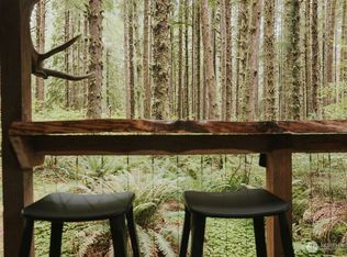 487 Goodman Mainline Rd, Forks, WA 98331