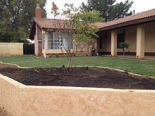 Begining of sodding & planting