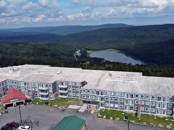237 Mountain Ldg, Snowshoe, WV 26209