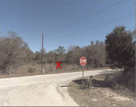 1st image of 9019 N Cereus Way