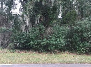 260 Mercers Fernery Rd, Deland, FL 32720