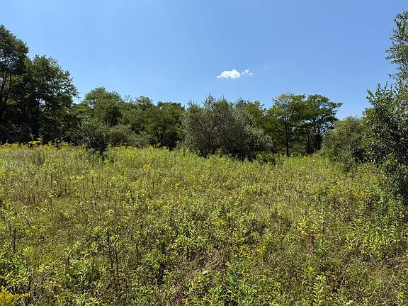 5th image of 0 Black Walnut Rd