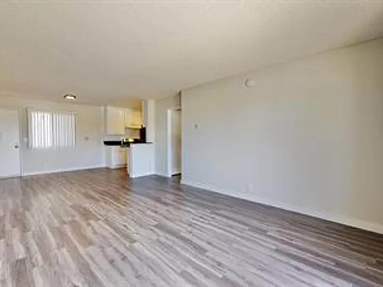 123 S Catalina Street — Photo 6