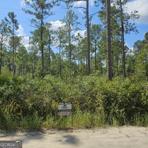 0 Stokes Lake Rd #14-15, Folkston, GA, 31537