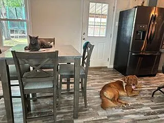 114 Carmel Dr — Photo 24