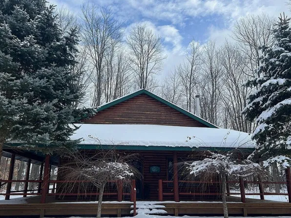 11405 Alba Hwy, Elmira, MI 49730