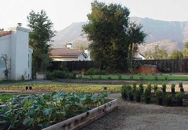 Garden with Mtn View