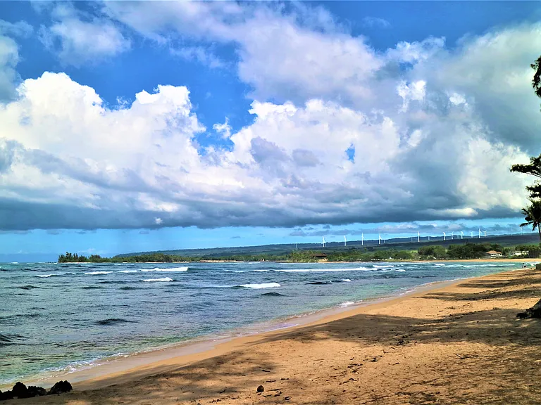 66-480 Haleiwa Rd — Photo 17