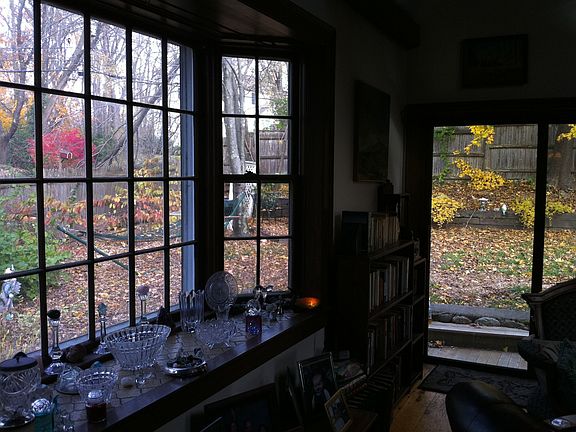 Back yard in autumn