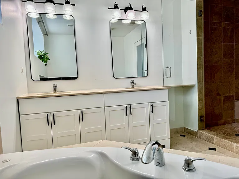 Primary Shower and Bath