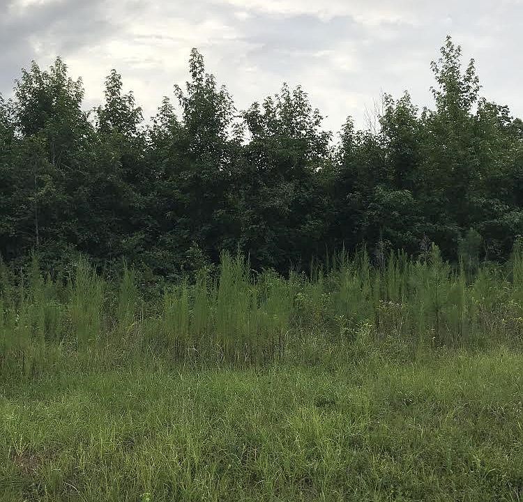 2nd image of 1A5 High Way