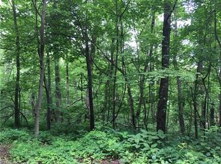 4 Davey Crockett Rd #4, Fairview, NC 28730