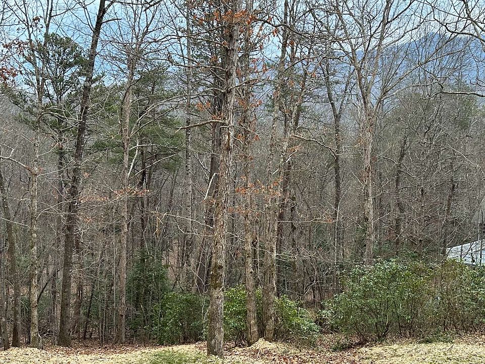 1st image of LOT 59 Asheland Cove Dr