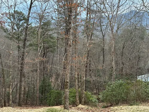 LOT 59 Asheland Cove Dr, Young Harris, GA 30582