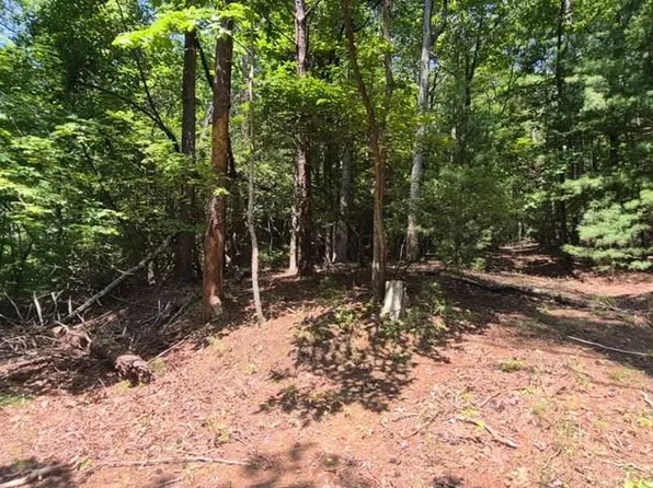 Peach Ln, Ellijay, GA 30536
