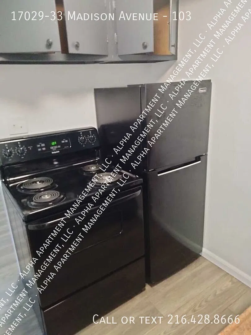 Spacious 1bd/1ba In Lakewood, OH! — Photo 2