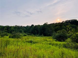 LOT & 11.7 Bunt Rd #3.3, Greene, NY 13778