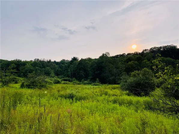 LOT & 11.7 Bunt Rd #3.3, Greene, NY 13778