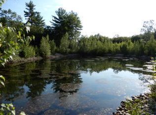 0 Cold Bowling Spring Ln, Limington, ME 04049