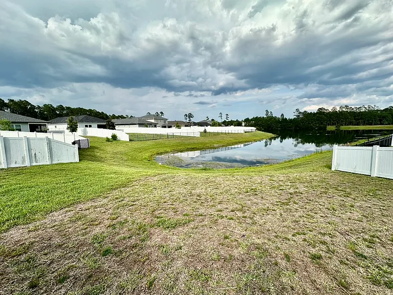 1443 Tropical Pine Cv — Photo 3