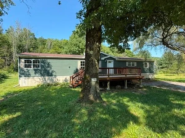 304 Hulbert Hollow Rd, Spencer, NY 14883