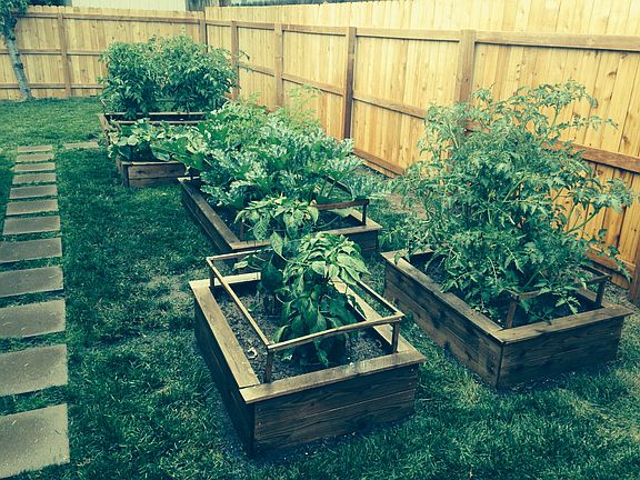 Raised garden beds 
