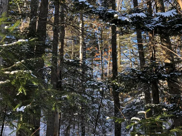 M16 L 27,28 Edelheid Road, Sandy River Plt, ME 04970