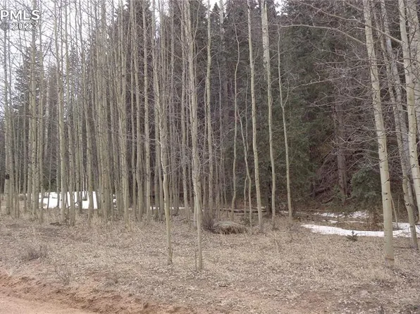 2270 Anges Dr, Cripple Creek, CO 80813