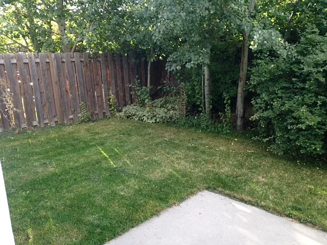 BER3510 — Photo 3