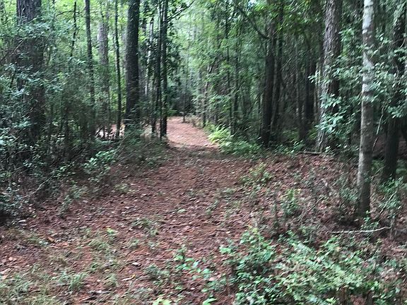 2nd image of 0 Quiet Woods Ln