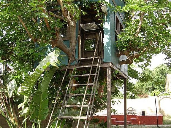 TREE HOUSE
