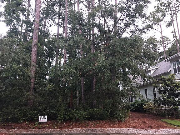 Left of the green house