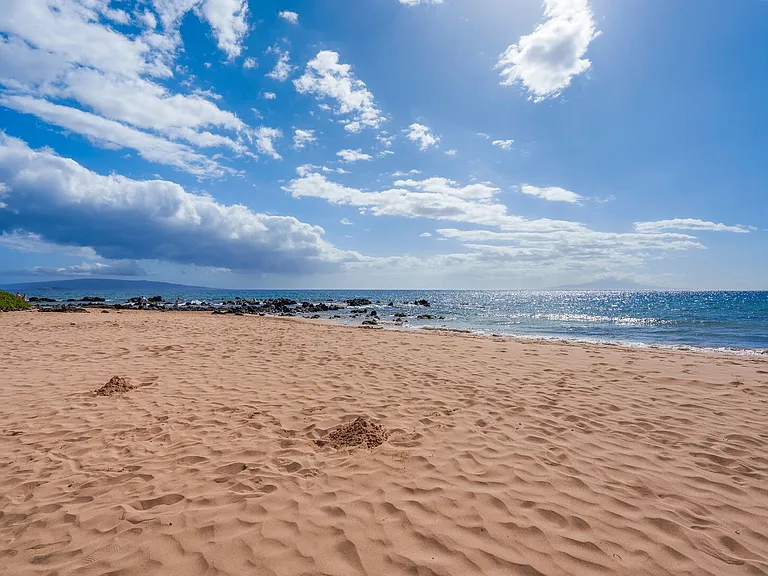 Wailea Alanui Dr — Photo 50