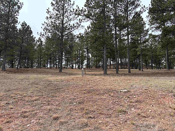 5th image of Gunsmoke Ln