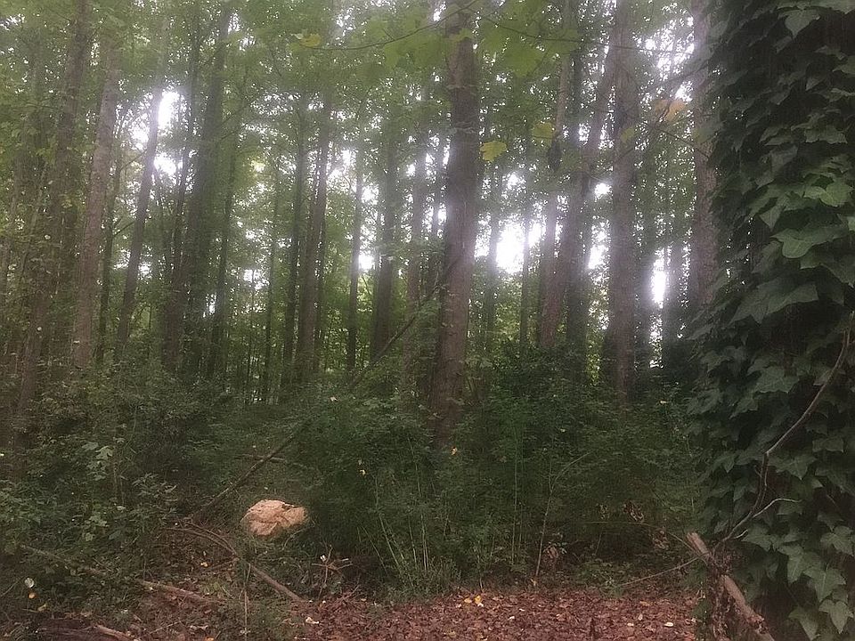 2nd image of Live Oak Dr NW