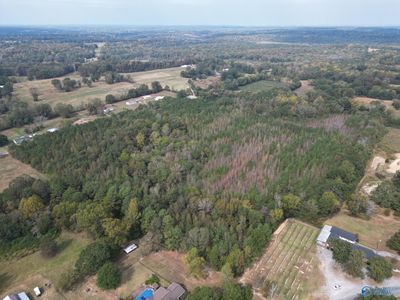 Goose Pond Rd, Hartselle, AL, 35640